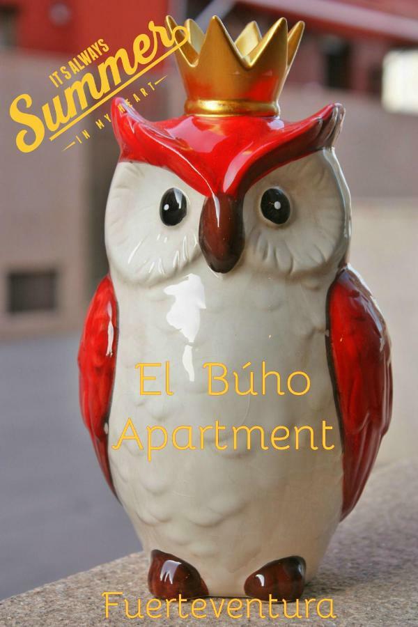 El Buho Apartment Wi-Fi Puerto del Rosario  Zewnętrze zdjęcie